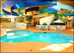 Comfort Inn Conference Centre - Tampa