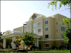Holiday Inn Tampa Busch Gardens Hotel - Florida FL