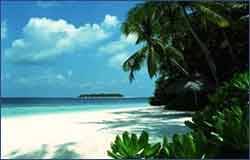 Scenic Maldives